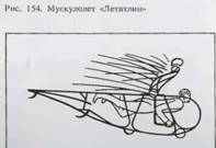 Мускулолеты любительской постройки Мускулолеты любительской постройки
