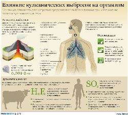 Монументальные сооружения Монументальные сооружения